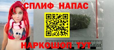 spice Гусиноозёрск